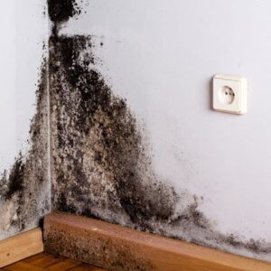 Home and Your Health