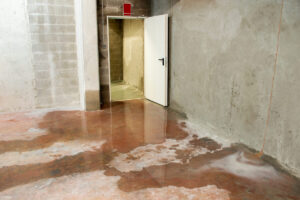 basement water problems