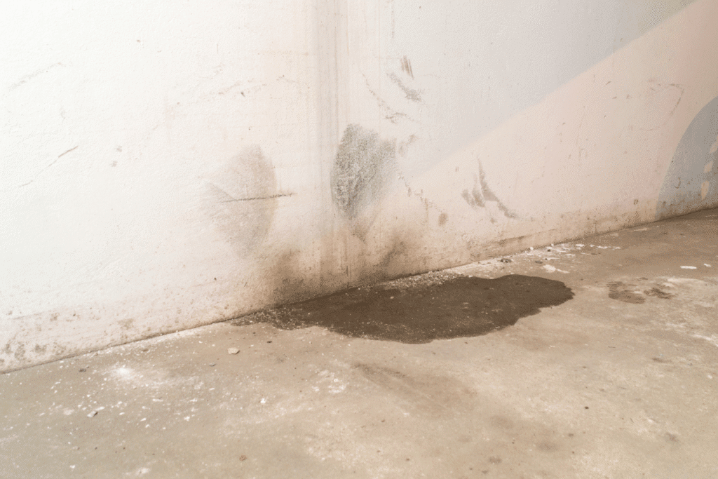 Basement Water Damage